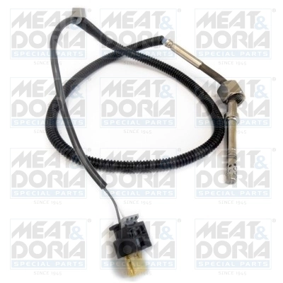 Sensor, exhaust gas temperature